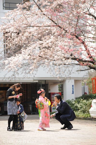 桜の季節の七五三撮影